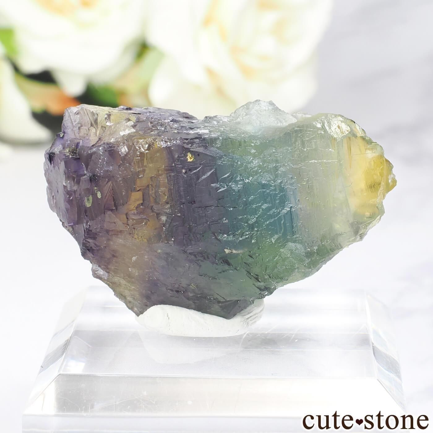 ɥ Bergmannisch Gluck Flacher ե饤 No.1μ̿1 cute stone