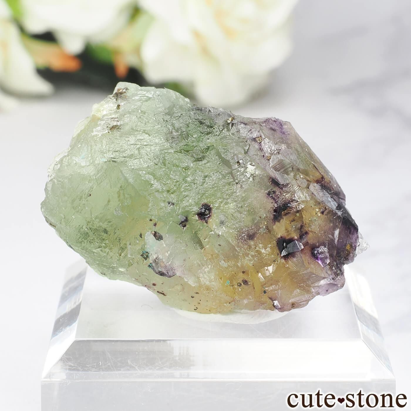 ɥ Bergmannisch Gluck Flacher ե饤 No.2