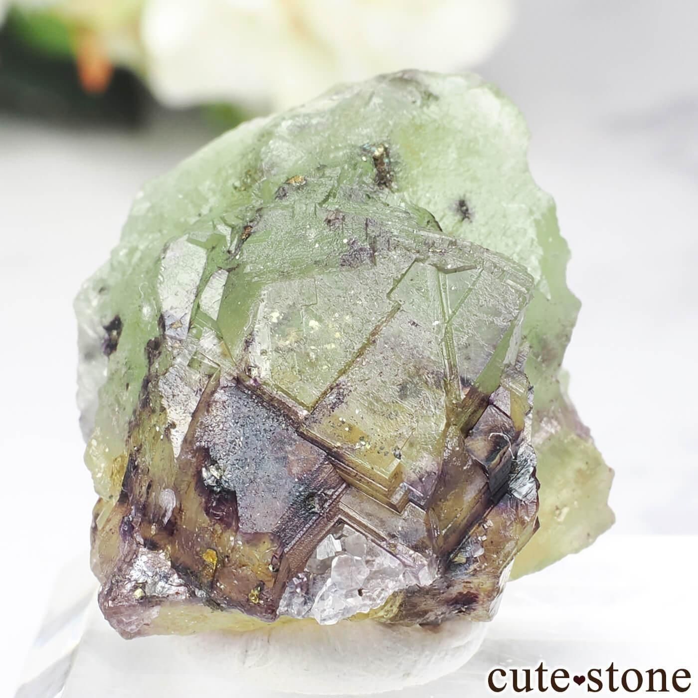 ɥ Bergmannisch Gluck Flacher ե饤 No.2μ̿2 cute stone