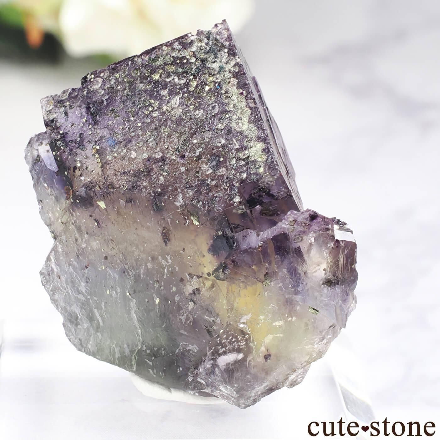 ɥ Bergmannisch Gluck Flacher ե饤 No.3μ̿0 cute stone