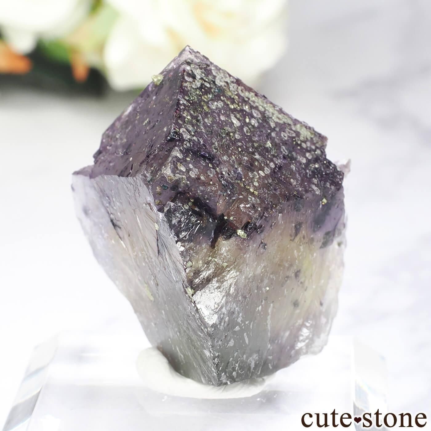 ɥ Bergmannisch Gluck Flacher ե饤 No.3μ̿1 cute stone