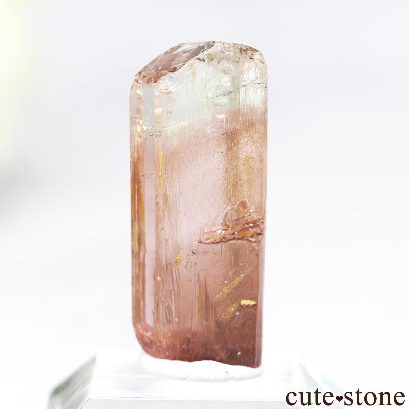  Masisi ȥޥθ No.1μ̿1 cute stone