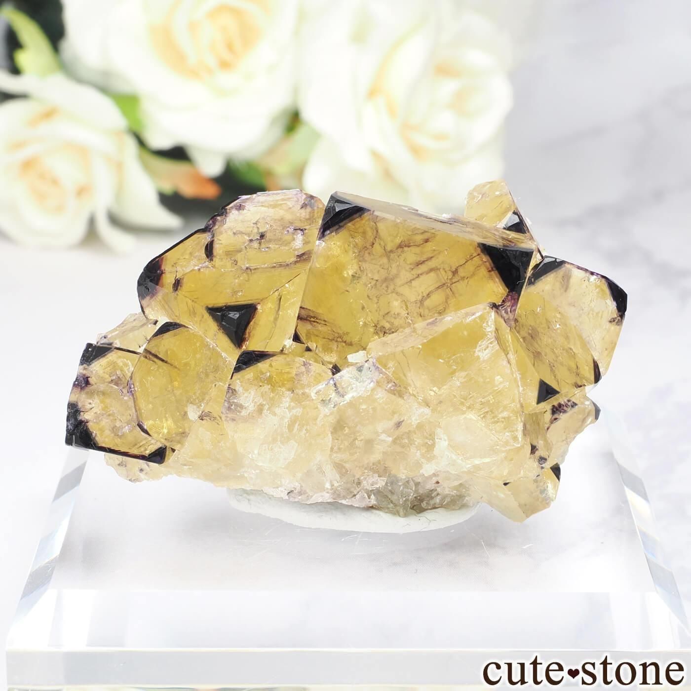 ナミビア Okorusu Mine｜D-Pit産 フローライトの原石 No.71 - cute stone -