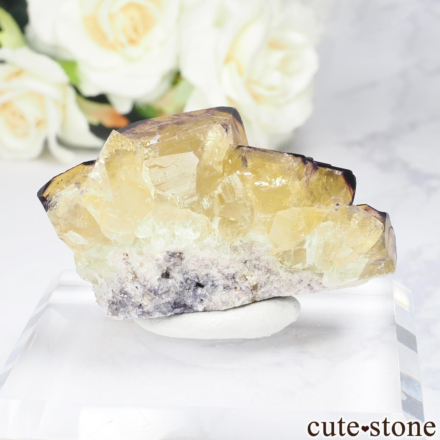 ʥߥӥ Okorusu MineD-Pit ե饤Ȥθ No.71μ̿1 cute stone