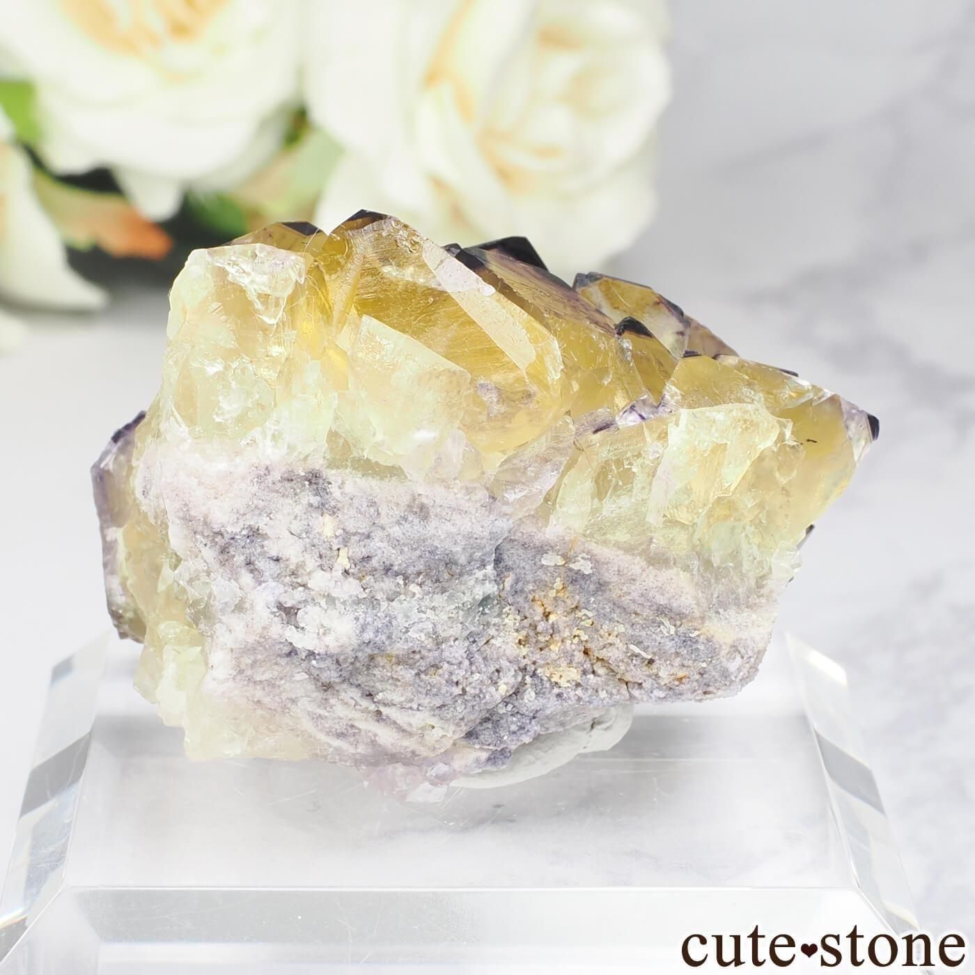 ʥߥӥ Okorusu MineD-Pit ե饤Ȥθ No.72μ̿1 cute stone