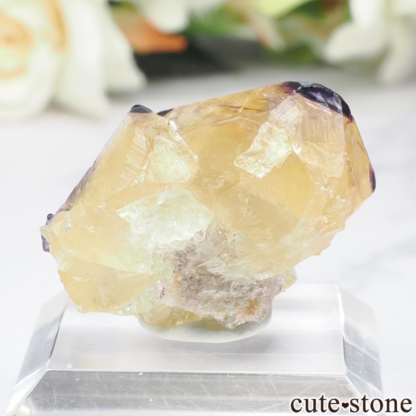 ʥߥӥ Okorusu MineD-Pit ե饤Ȥθ No.73μ̿1 cute stone