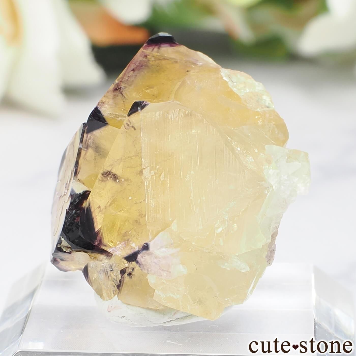 ʥߥӥ Okorusu MineD-Pit ե饤Ȥθ No.73μ̿2 cute stone