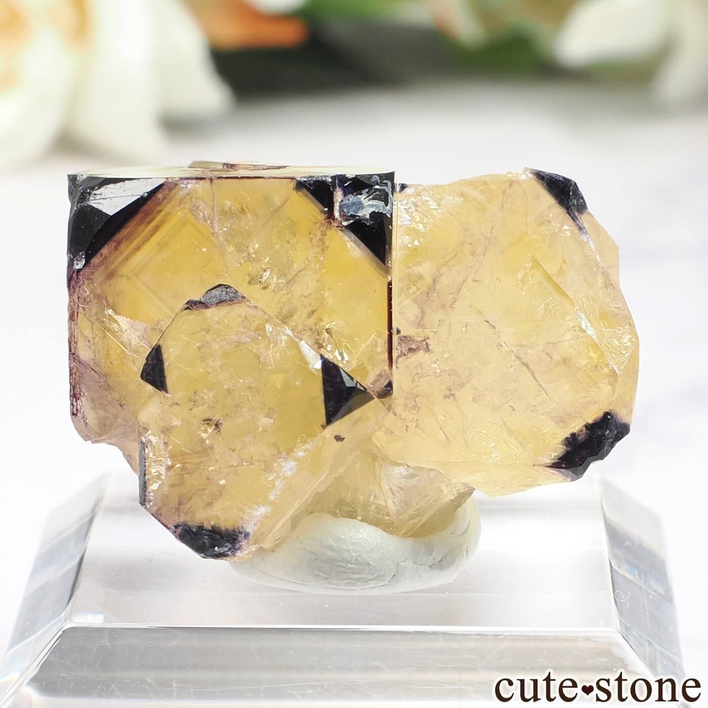 ナミビア Okorusu Mine｜D-Pit産 フローライトの原石 No.74 - cute stone -