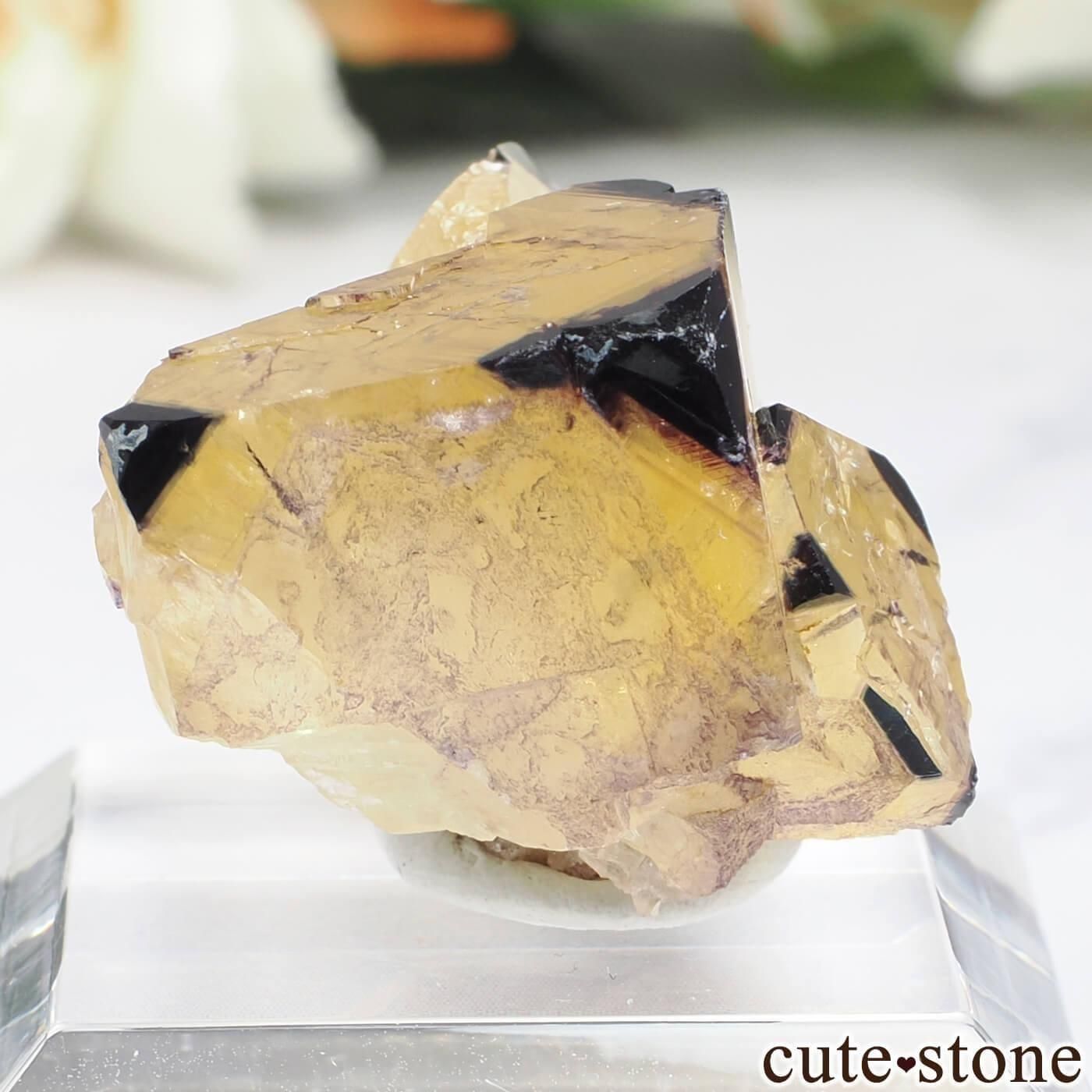 ʥߥӥ Okorusu MineD-Pit ե饤Ȥθ No.74μ̿0 cute stone