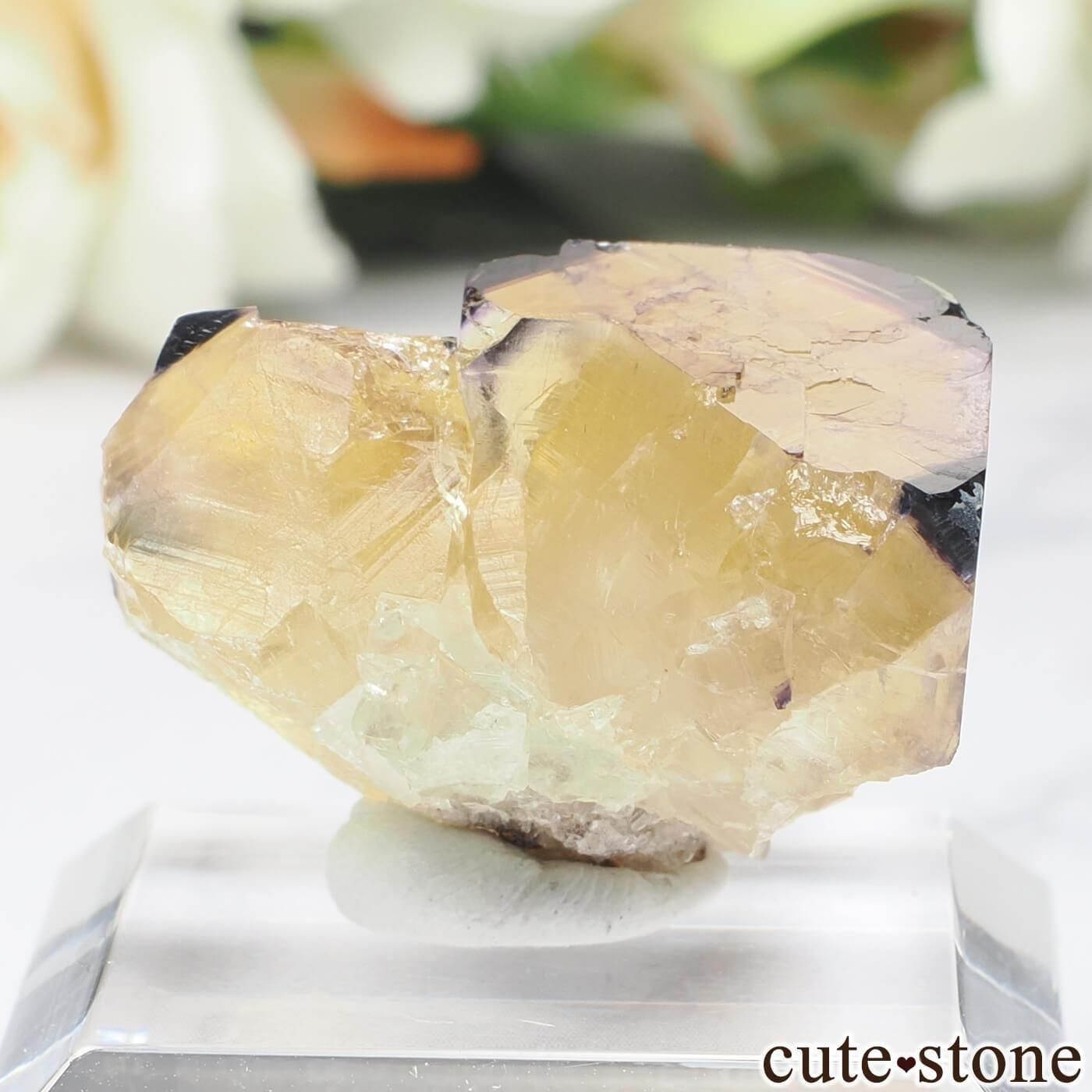 ʥߥӥ Okorusu MineD-Pit ե饤Ȥθ No.74μ̿1 cute stone