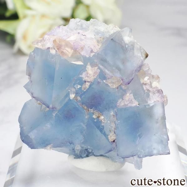 ����ꥫ ����Υ��� Minerva No. 1 Mine�� �֥롼�ե����饤�ȡ����륵���Ȥθ��� No.2�β���