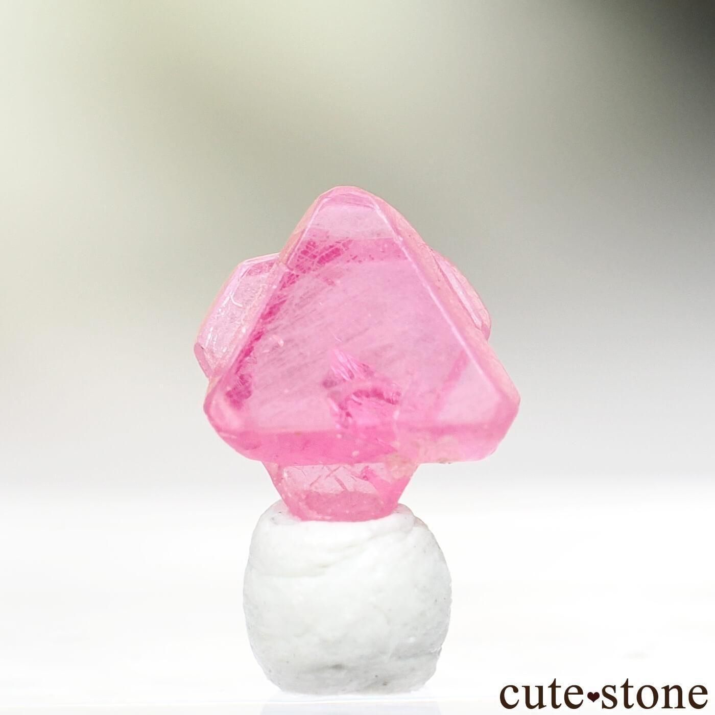 �ߥ��ޡ� �⥴���� ���ԥͥ���о���ϻ������No.41