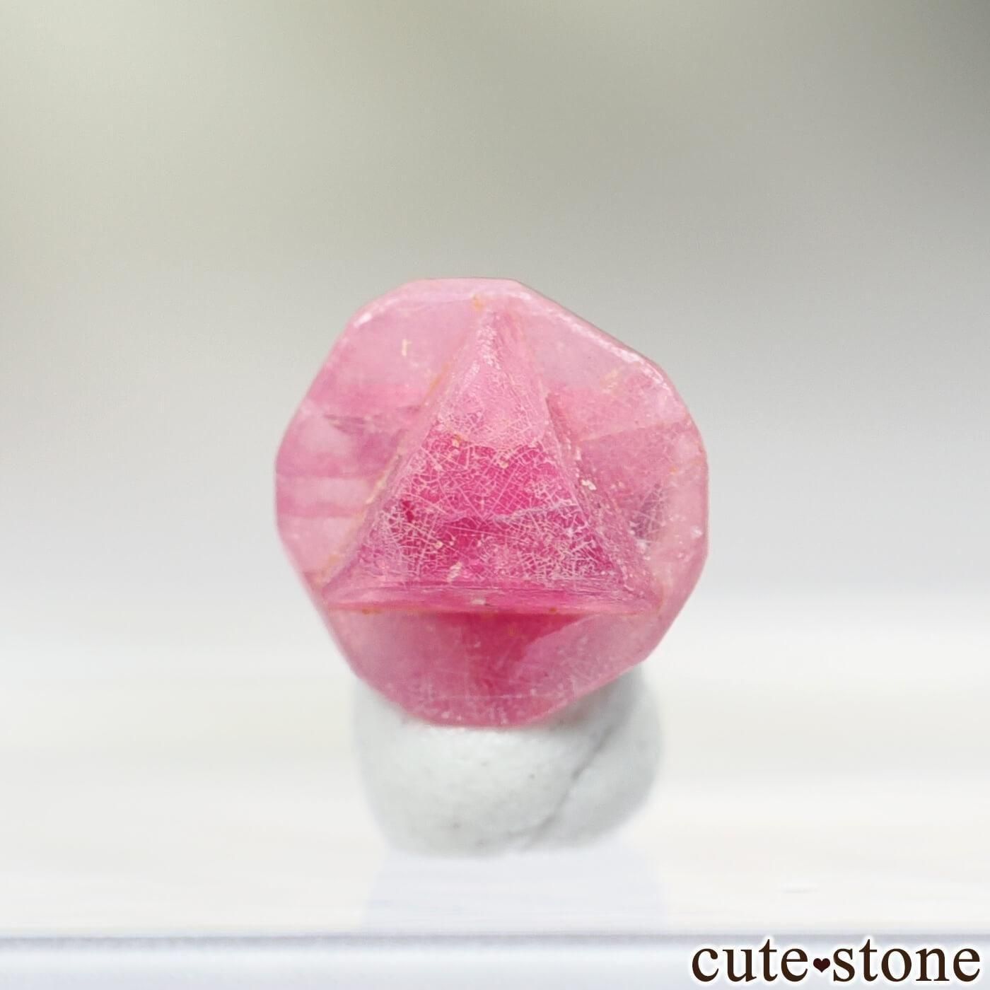 �ߥ��ޡ� �⥴���� ���ԥͥ���о���ϻ������No.43�β��� cute stone