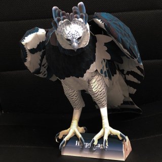 Harpy Eagle Paper Craft Body - 1/2亮ڡѡեƹ