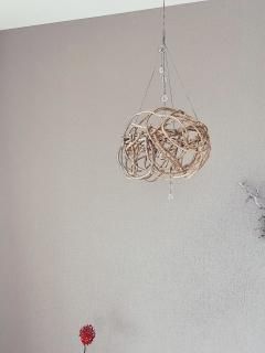 tree crown 