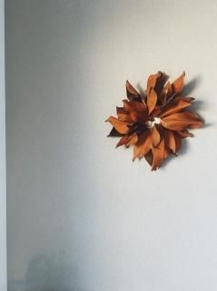 magnolia SUN