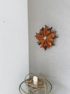 magnolia sun