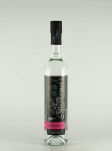 ピスコ | 武川蒸留酒販売