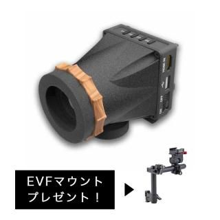 <img class='new_mark_img1' src='https://img.shop-pro.jp/img/new/icons20.gif' style='border:none;display:inline;margin:0px;padding:0px;width:auto;' />ŸPortkeys LEYE SDI (EVFޥդ)