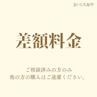 差額600円の商品画像