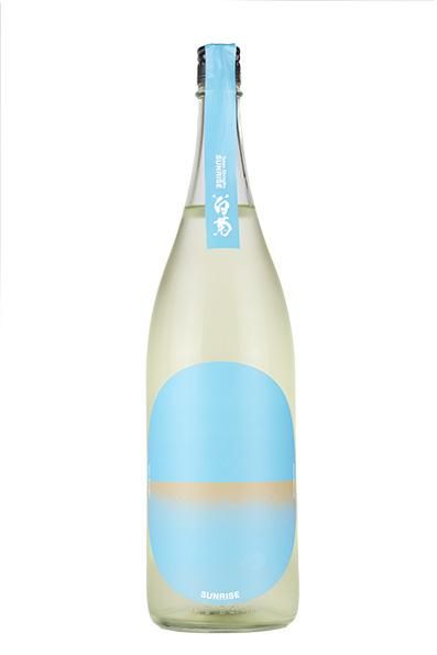 大典白菊 サンライズ スカイブルー 1.8L （たいてんしらぎく）【CWS