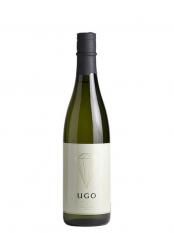 UGO NIMBUS720ml ʤΤĤ