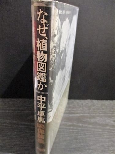 なぜ 植物図鑑か 中平卓馬映像論集 晶文社 古書 コモド ブックス Komodo Books 埼玉県川口市 古本 販売 買取 映画 音楽 幻想文学 漫画 劇画 オカルト 芸能 サブカル 美術 建築 写真 思想哲学 民俗文化 人文社会 なぜ 植物図鑑か 中平卓馬映像論集 晶文社 古書 コモド ブックス Komodo Books 埼玉県川口市 古本 販売 買取 映画 音楽 幻想文学 漫画 劇画 オカルト 芸能 サブカル 美術 建築 写真 思想哲学 民俗文化 人文社会