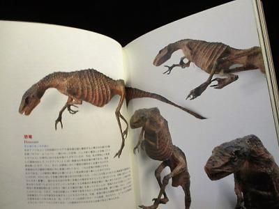 幻獣標本採集誌 江本創 パロル社 - 古書コモドブックス KOMODO BOOKS