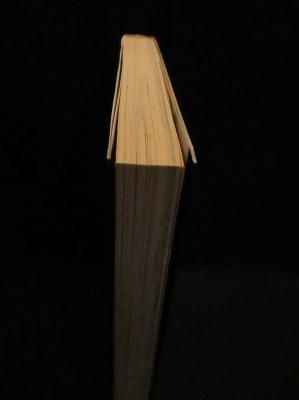 プルトンの息子たち わたなべまさこ 廣済堂出版 - 古書コモド