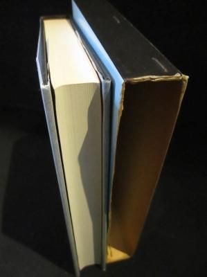 二十世紀鉄仮面 他 小栗虫太郎 桃源社 古書 コモド ブックス Komodo Books 埼玉県川口市 古本 販売 買取 映画 音楽 幻想文学 漫画 劇画 オカルト 芸能 サブカル 美術 建築 写真 思想哲学 民俗文化 人文社会