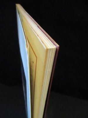 一条ゆかり　文庫本まとめ　33冊 一条ゆかり 文庫本まとめ 33冊 一条ゆかり 文庫本まとめ 33冊