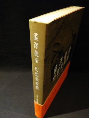 澁澤龍彦 幻想美術館 巖谷國士 監修・文 平凡社 - 古書 コモド