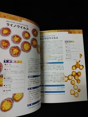 恐怖の病原体図鑑 ウイルス・細菌・真菌(カビ) 完全ビジュアル
