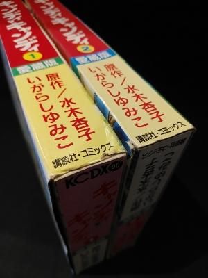 キャンディ・キャンディ 愛蔵版 全2巻揃 いがらしゆみこ 水木
