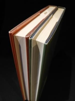ヴァイオリン演奏の技法 上下2冊揃 カール・フレッシュ 佐々木庸