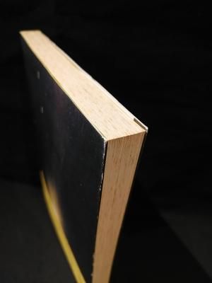 超大特価 ハレー彗星物語 古書コモドブックス - 恒星社厚生閣 長谷川一郎 その他