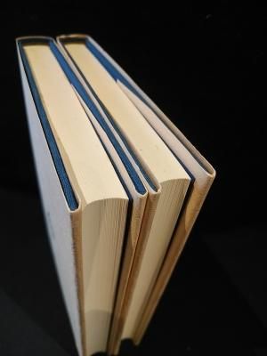 モリヤの庭の木の葉 2 / 古本、中古本、古書籍の通販は「日本の