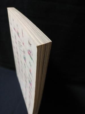 遊 objet magazine 1001 相似律 連想と類似 観相学の凱歌のため 遊 objet magazine 1001 相似律 連想と類似 観相学の凱歌のため