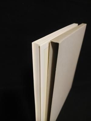 野中ユリ画文集　2002 野中ユリ画文集」2002年 神奈川県立近代美術館刊行 | Astarte