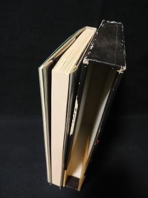Amazon.co.jp: パリふたたび (1981年) : 平岡 篤頼: Japanese Books
