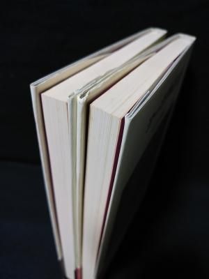 ヨーガ禅道話 / 続ヨーガ禅道話 全2冊揃 佐保田鶴冶 人文書院