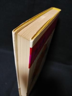 ある愛(ディーノ・ブッツァーティ 著 ; 脇功, 在里寛司 訳