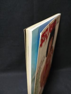 平凡パンチ別冊56 1981年7月号 柏原よしえ表紙 朝比奈順子/星崎