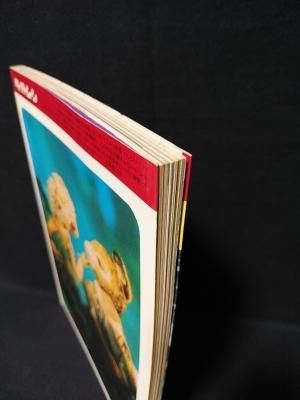 少女漫画ファンタジイ 夏の夜の夢 ペーパームーン 新書館 - 古書コモド