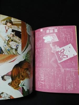 ビックリハウス 創刊号 特集 君の窓から地球は見えるか 1975年
