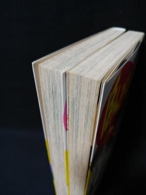 【中古】 ほんとにいいの？ ２/少年画報社/山田こうすけ ほんとにいいの？ 全2巻セット 初版 山田こうすけ - メルカリ