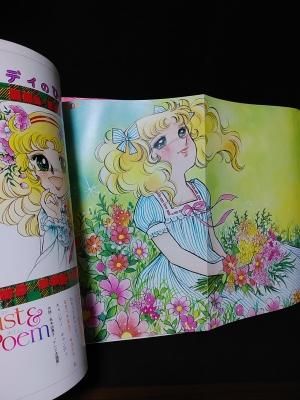 キャンディ キャンディ イラスト集 全2冊揃 いがらしゆみこ イラスト 水木杏子 原作 ポエム なかよしデラックスアルバム 講談社 古書 コモド ブックス Komodo Books 埼玉県川口市 古本 販売 買取 映画 音楽 幻想文学 漫画 劇画 オカルト 芸能 サブカル 美術 建築