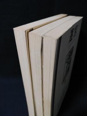 迷宮 全3冊セット 1 阿比留字本源考・竹内健ほか / 2 特集