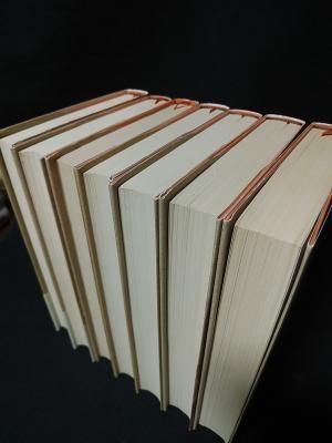 陽だまりの樹 全7巻揃 手塚治虫 小学館叢書 - 古書コモド