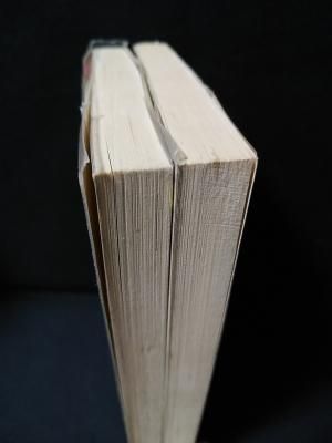 お金ためます！ 初版 全2巻揃 忠津陽子 集英社 マーガレットコミックス